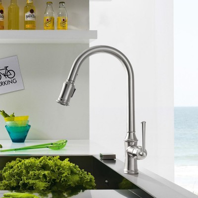 Holmine two handle sink health faucet kitchen faucets with pull down sprayer in kitchen faucet